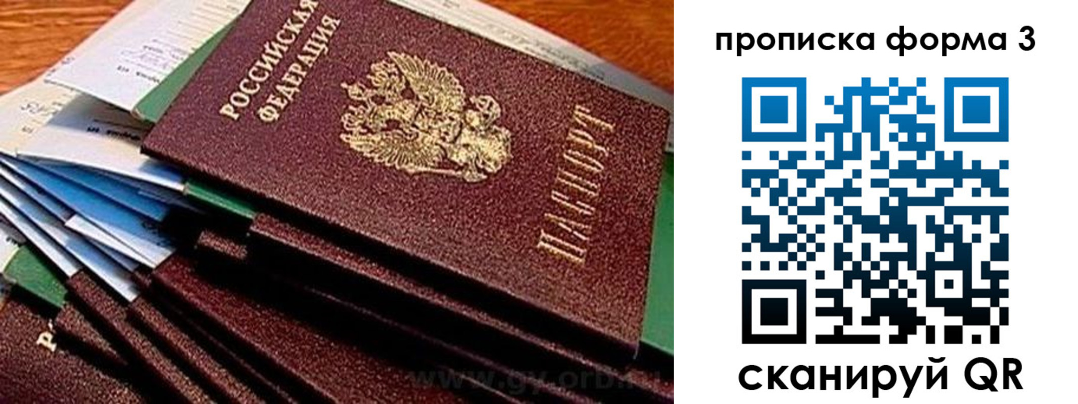 прописка иностранных граждан в Луге